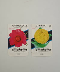 Ephemera Set