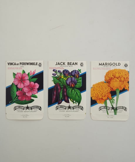 Ephemera Set