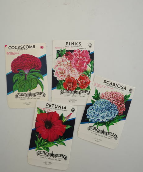 Ephemera Set