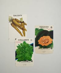 Ephemera Set