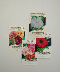 Ephemera Set