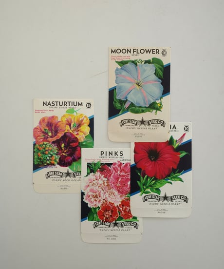 Ephemera Set