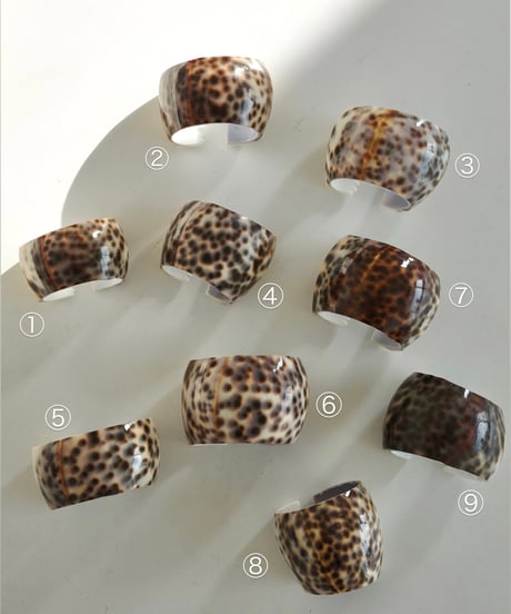 Cowrie Shell
