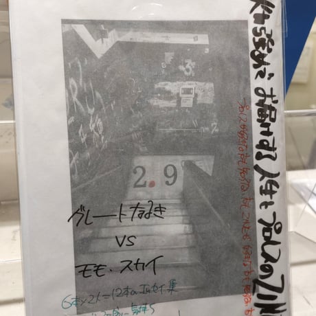 プロレスZINE２.９（二ーテンキュー）