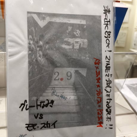 プロレスZINE２.９（二ーテンキュー）