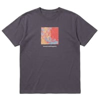класифікується Tee