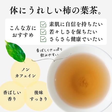 【クリックポスト】野草茶5種セットA　～あずき茶、よもぎ茶、柿の葉茶、はと麦茶、びわ茶