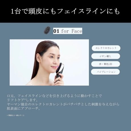 YA-MAN PROFESSIONAL（ヤーマン プロフェッショナル） ヴェーダスカルプブラシ 1年保証