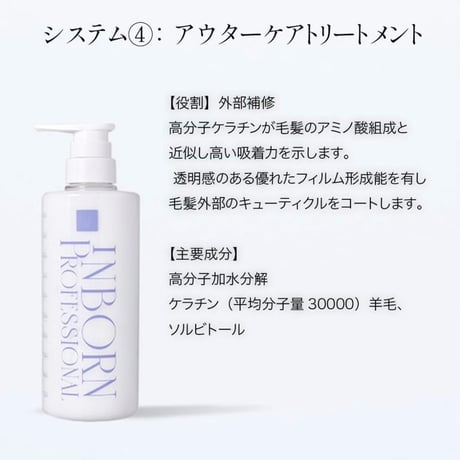 Inborn（インボーン） システム 4 1000g（サロンプロフェッショナル用）