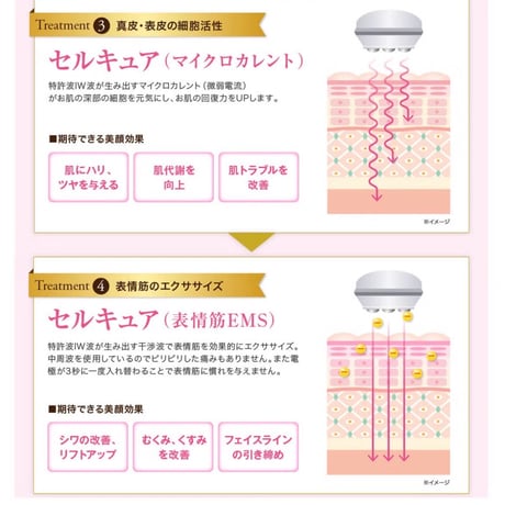 BELEGA（ベレガ） セルキュア4T++（CELL CURE 4T PlusPlus）1年保証