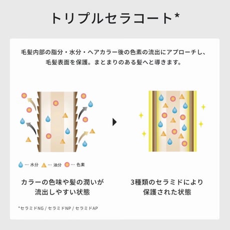 DEEPLEX（ディープレックス） トリートメント n モイスト 200g