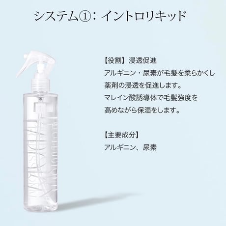 Inborn（インボーン） システム 1 1000ml（サロンプロフェッショナル用）