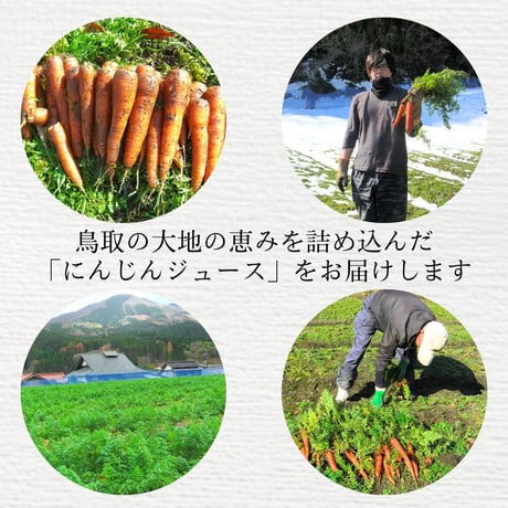 【定期便】にんじんジュース（500ml） 12本入り／箱代無料