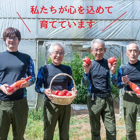 無添加　ミニボトルセット（80ml×10本） 極純／化粧箱