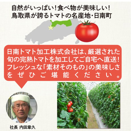 ミニボトルセット（80ml×10本） まるごととまと／化粧箱