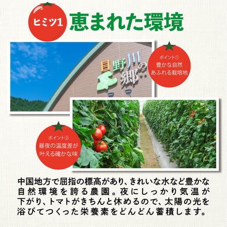 【定期便】まるごととまと（720ml） 6本入り／白ダンボール