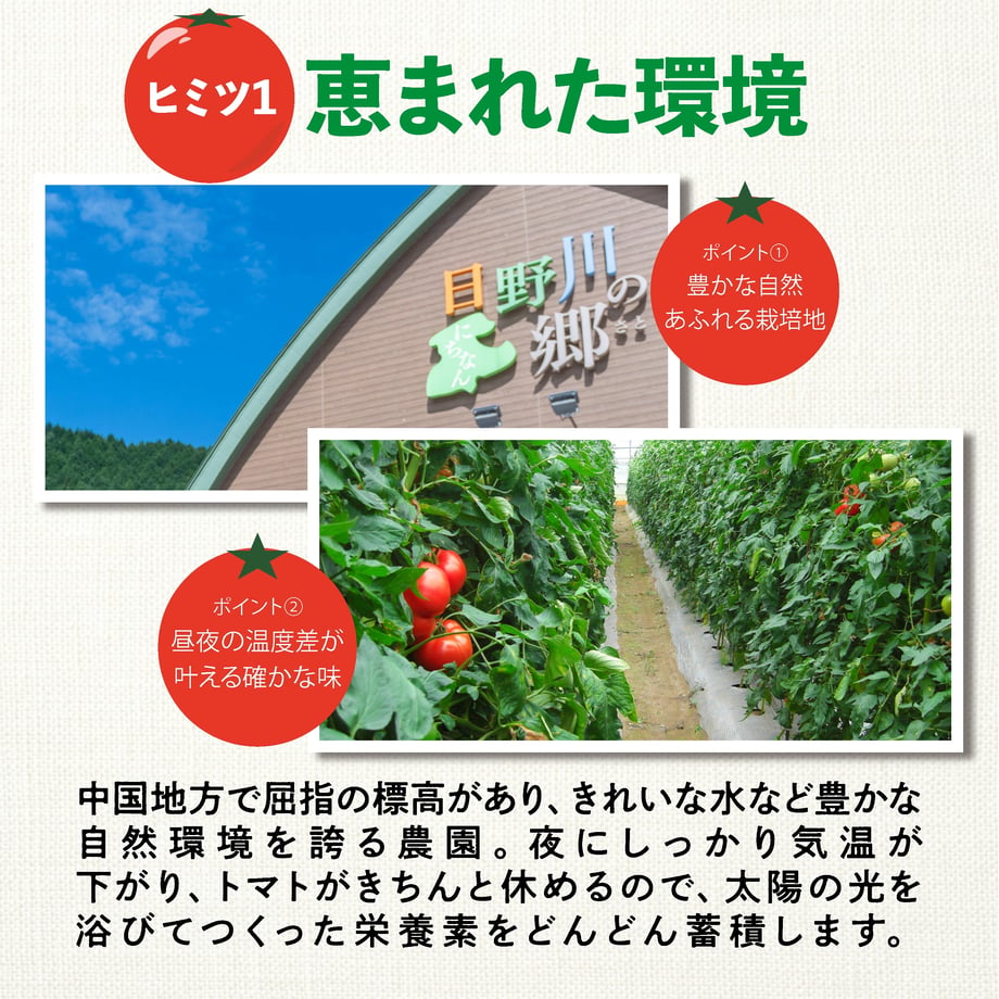 6942bedc16b7bc5375eea0f4