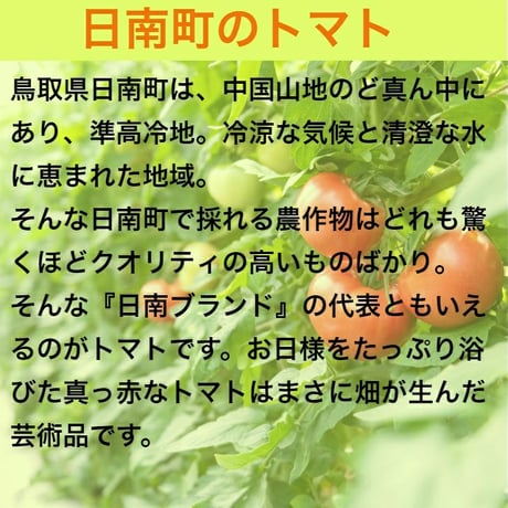 無添加　ミニボトルセット（80ml×10本） 極純／化粧箱