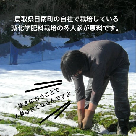 ミニボトルセット（80ml×10本） にんじんジュース／化粧箱