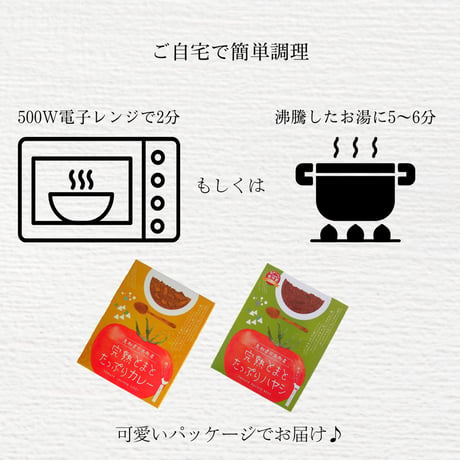ハヤシ・バターチキンカレーセット（4個セット／6個セット）