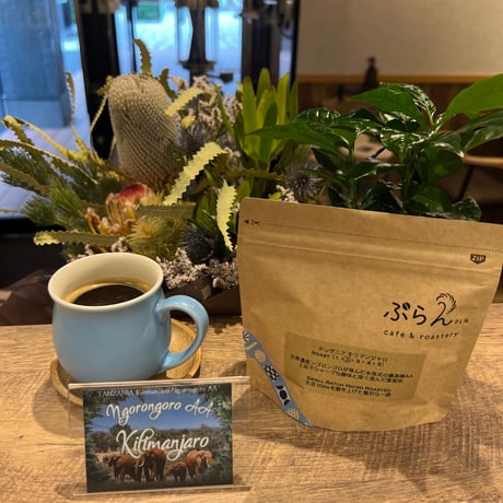 【FT店頭受取】タンザニア キリマンジャロンゴロンゴロ AA
