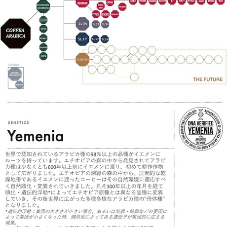 イエメン ハイマ・ハリジャ イエメニア（75g・豆）