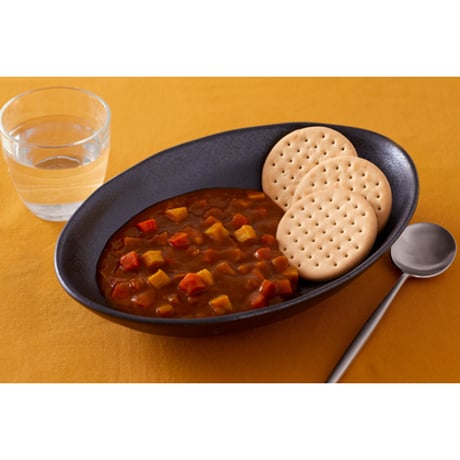 【25年保存可能】サバイバルフーズ バラエティ (チキンカレーセット)（国内製造）