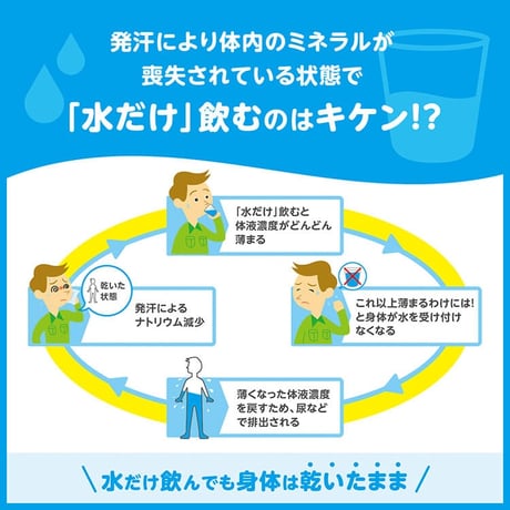 匠のオアシスエイド１箱（500ml × 24本）