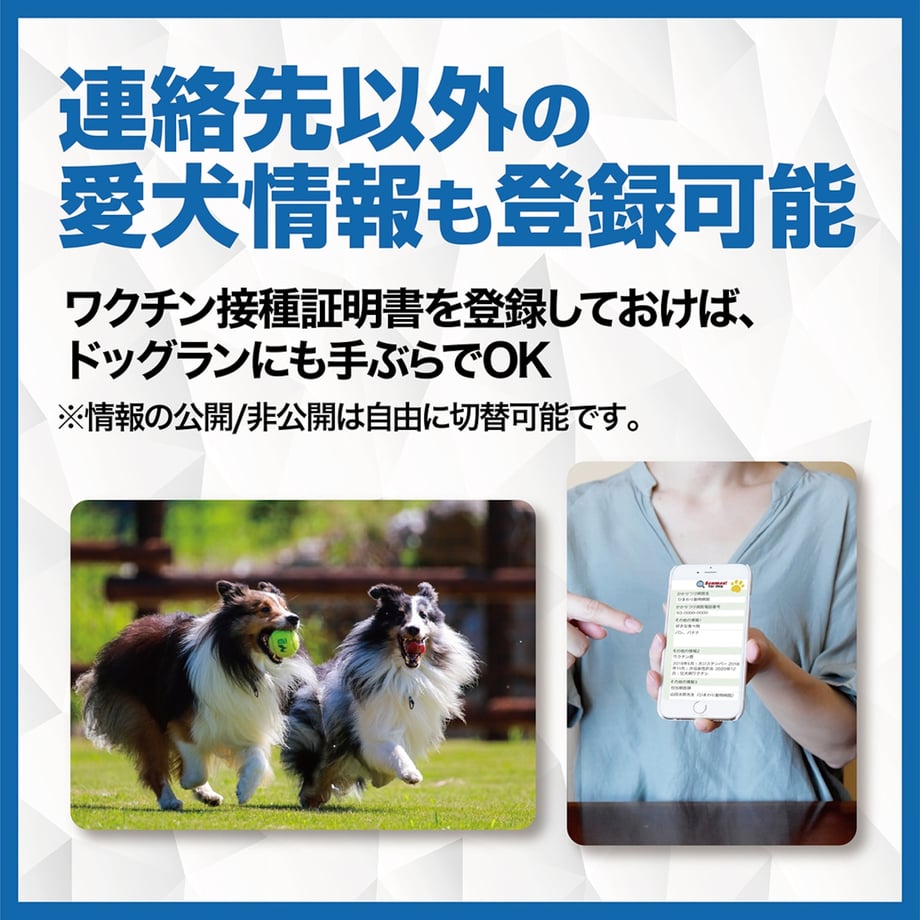 6aa8a9245a643e1dfb0491cd