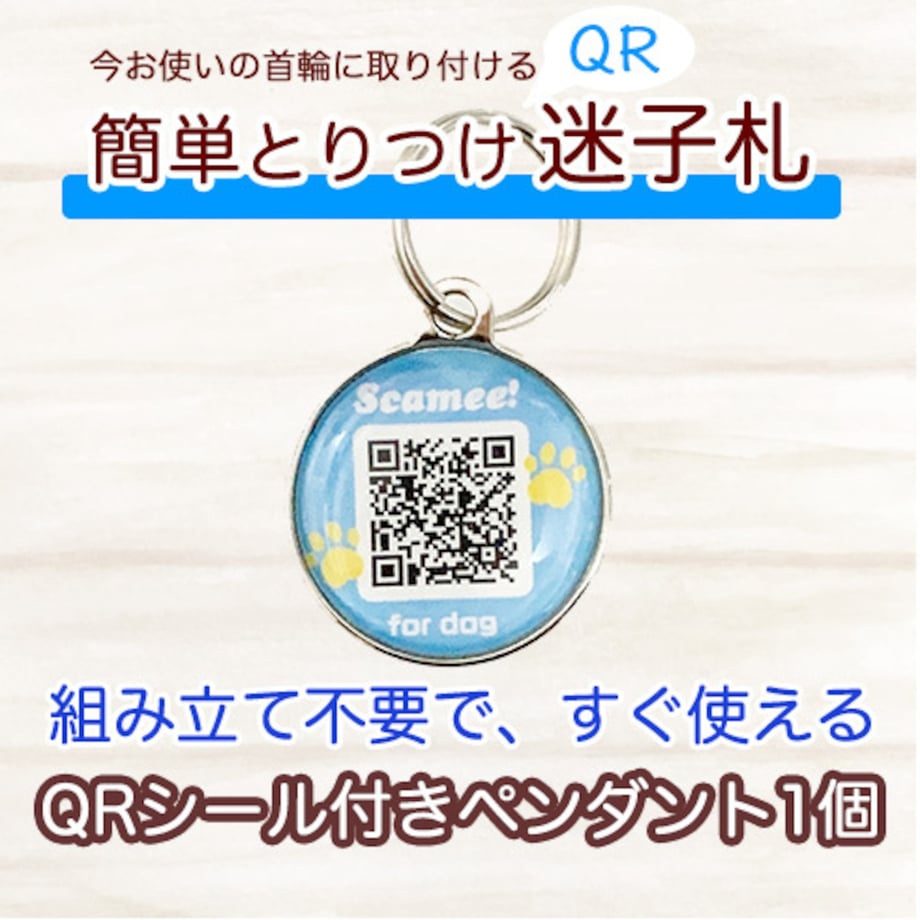 6aa8a9245a643e1dfb0491cd