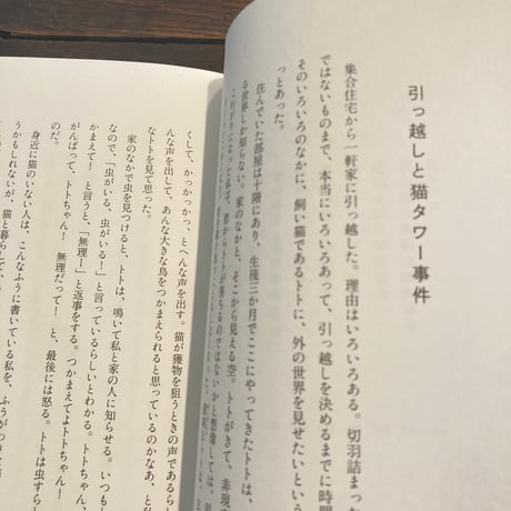 明日も一日きみを見てる