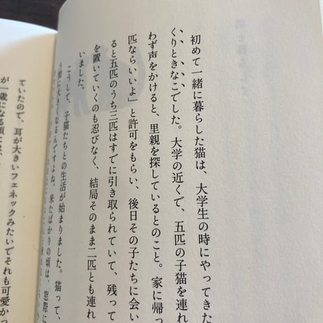 猫もあなたを愛してる