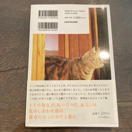 明日も一日きみを見てる