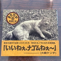 またたび