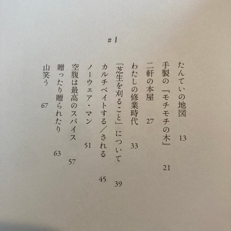 6a91355d8474875759296d2a
