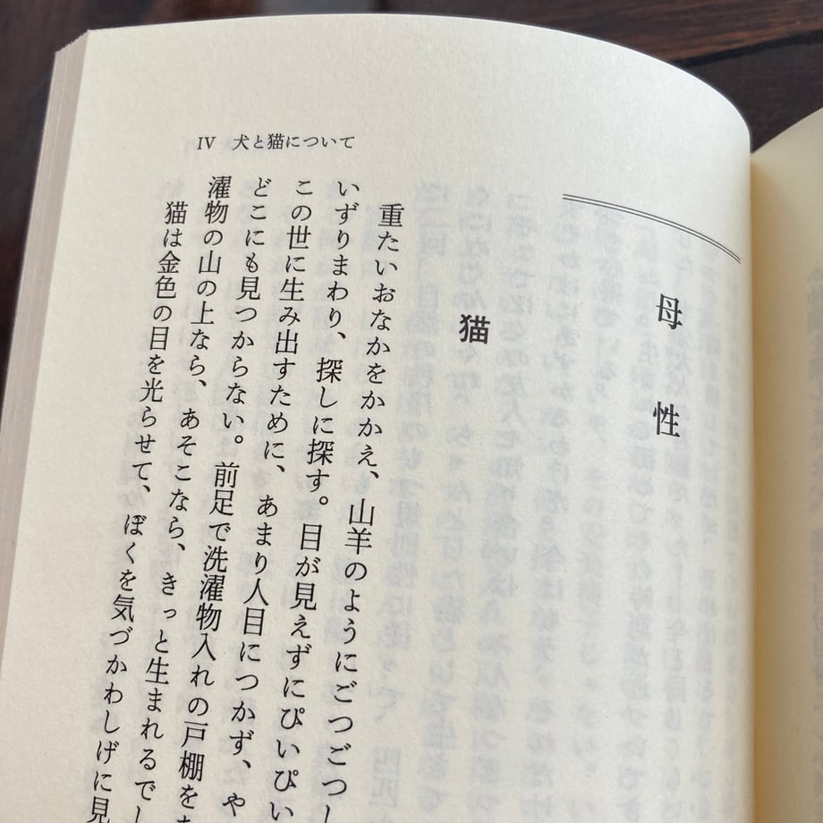 6a5c652f81cb299ab5ca2196