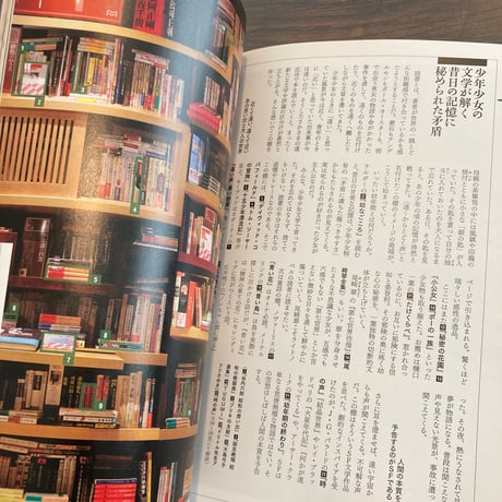 松岡正剛の書棚