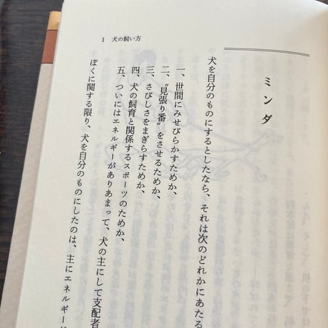 犬と猫