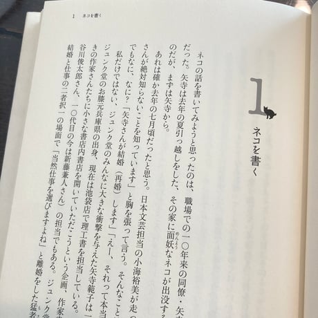 書店員のネコ日和