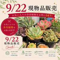1~60　現物品販売　2026.9.22販売分