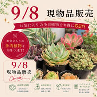 61~180　現物品販売　2026.9.8販売分