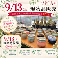 1~60　現物品販売　2026.9.13販売分