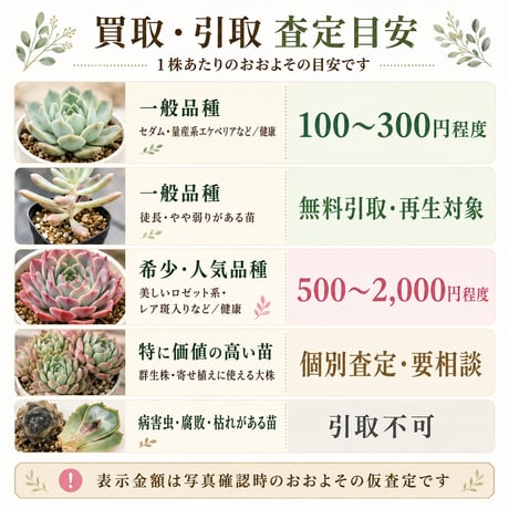 多肉植物 お引き取り・買取サービス
