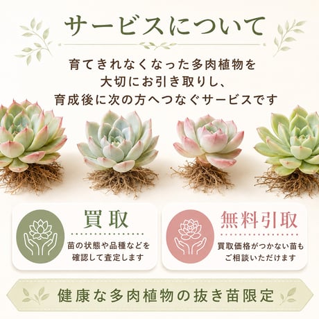 多肉植物 お引き取り・買取サービス