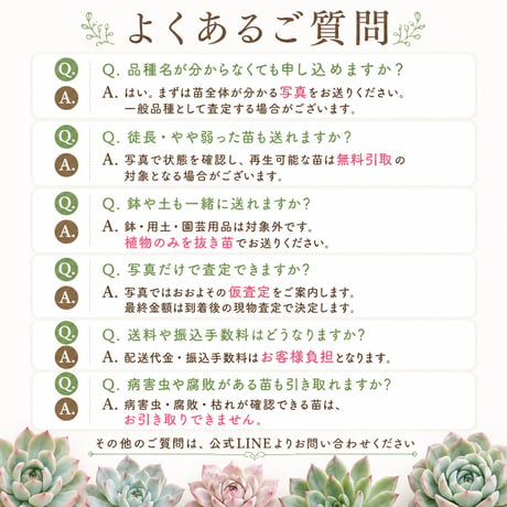 多肉植物 お引き取り・買取サービス