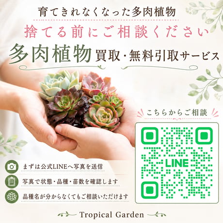 多肉植物 お引き取り・買取サービス