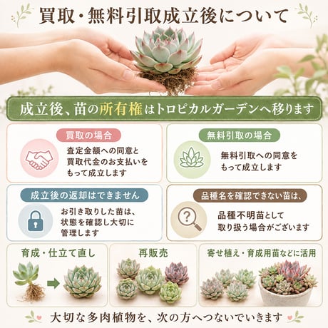 多肉植物 お引き取り・買取サービス