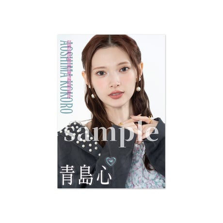 CATEGORY パンフレット | アマガワストア - AMAGAWA STORE