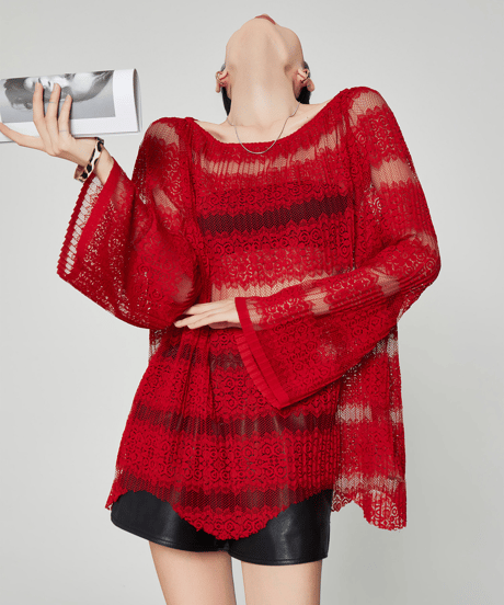 Sheer Lace Sheer Long Sleeve Top