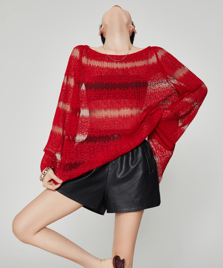 Sheer Lace Sheer Long Sleeve Top